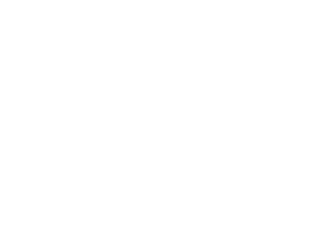 feel free Logo